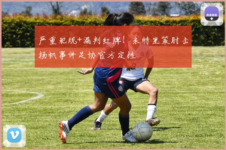 严重犯规+漏判红牌！米特里策肘击杨帆事件足协官方定性